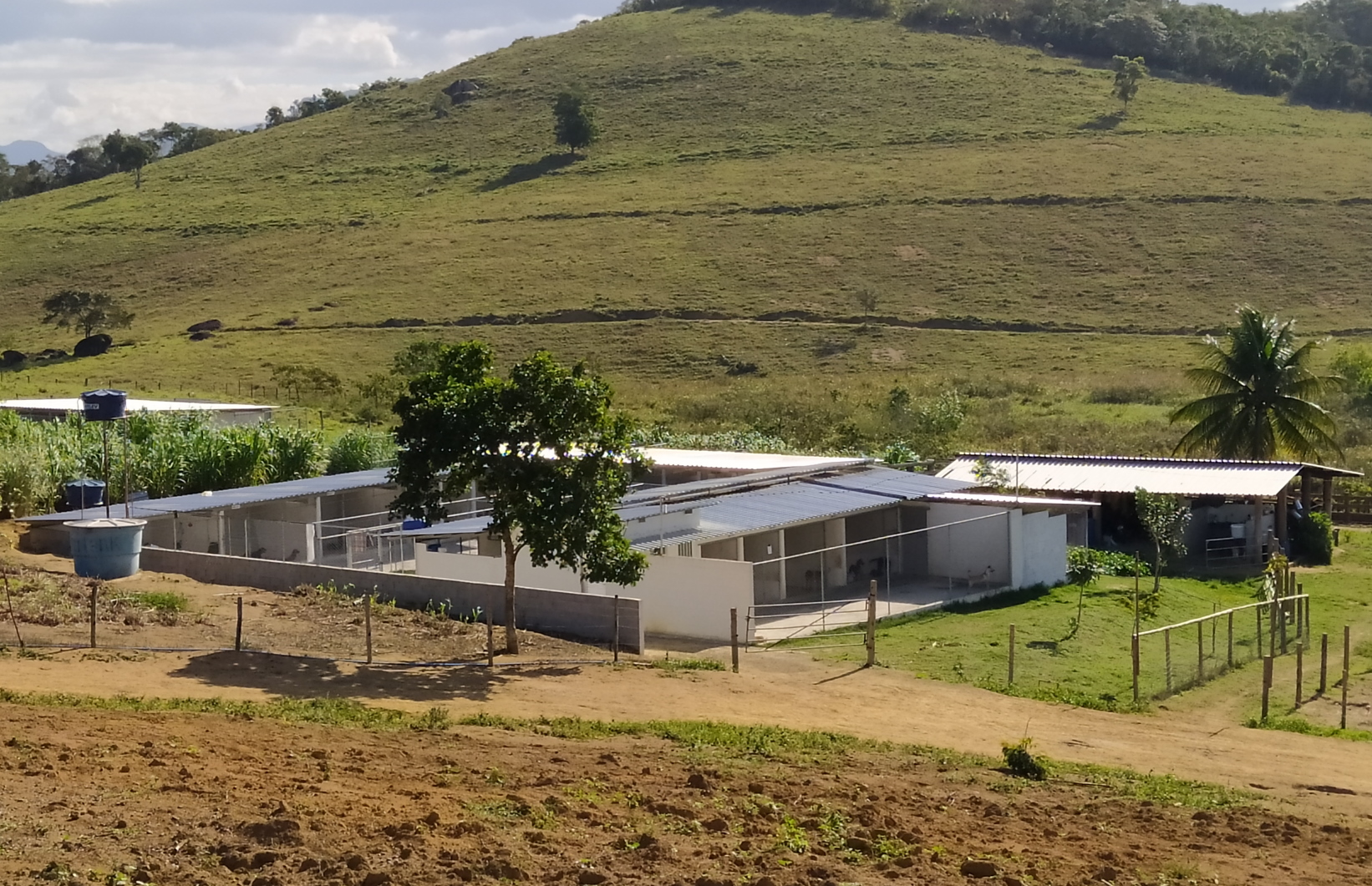 Canil experimental11.jpg