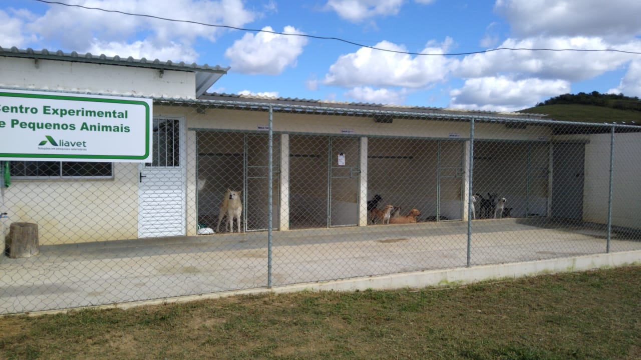 Canil experimental05.jpg