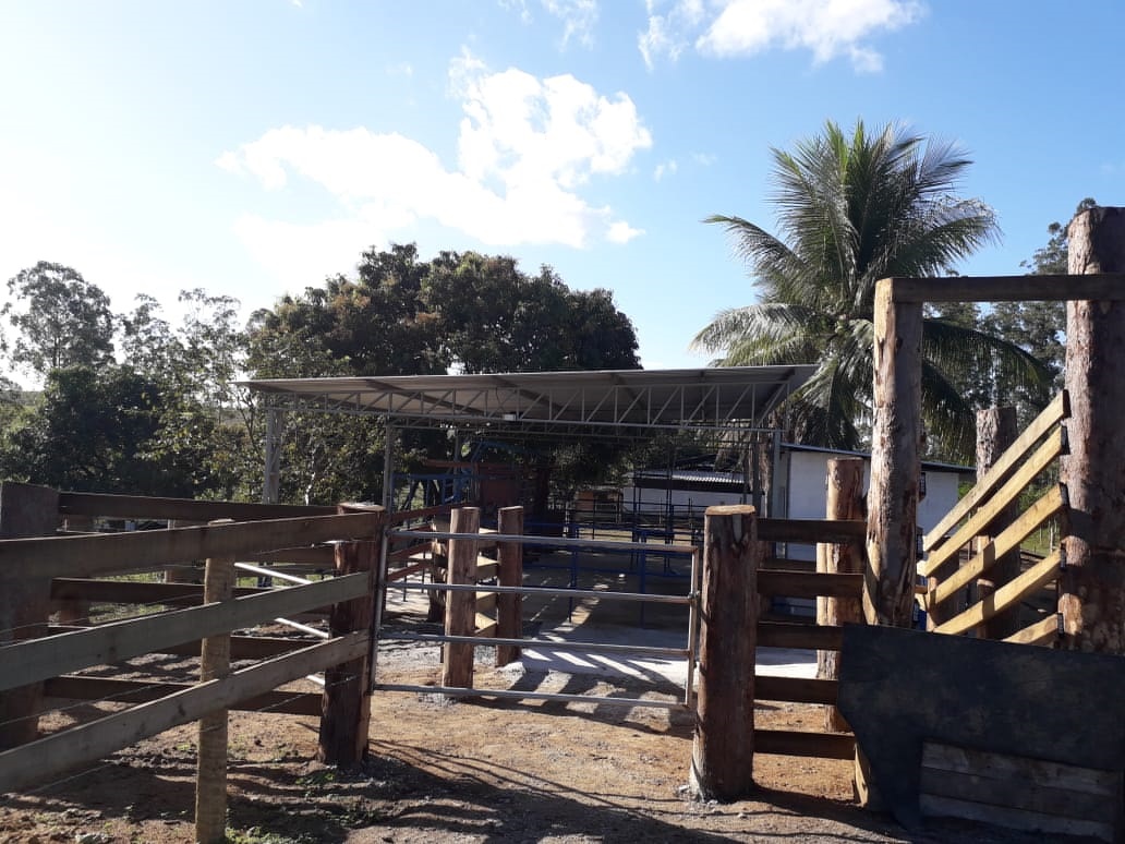 Area de bovinos 2.jpg