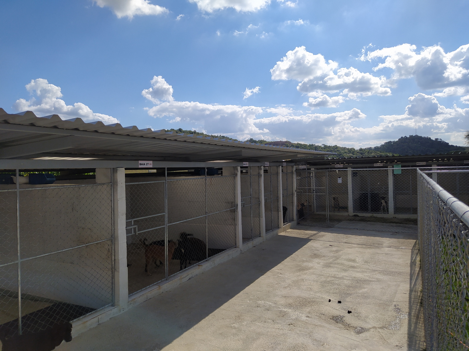 Canil experimental06.jpg