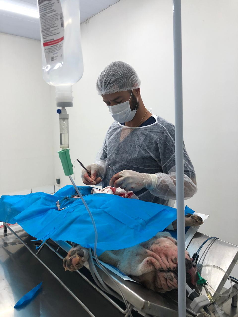 Centro cirúrgico pequenos animais02.jpg