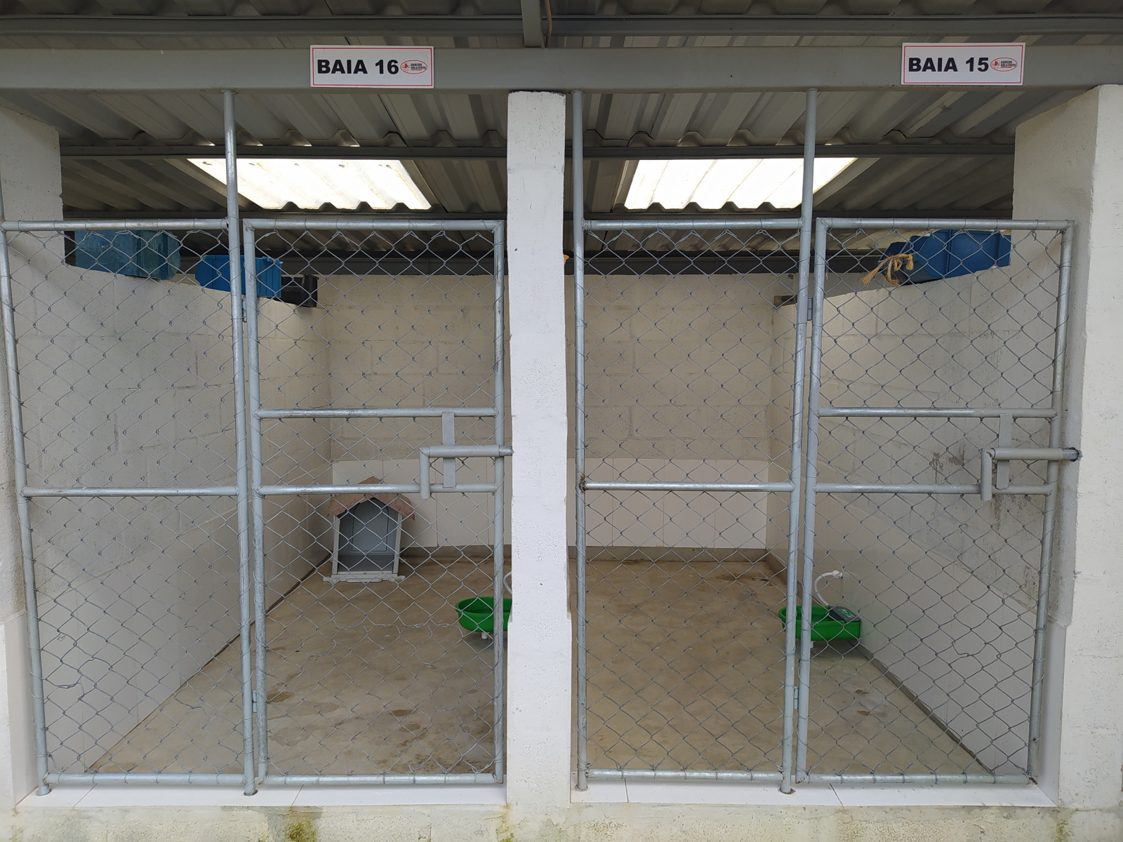 Canil experimental08.jpg