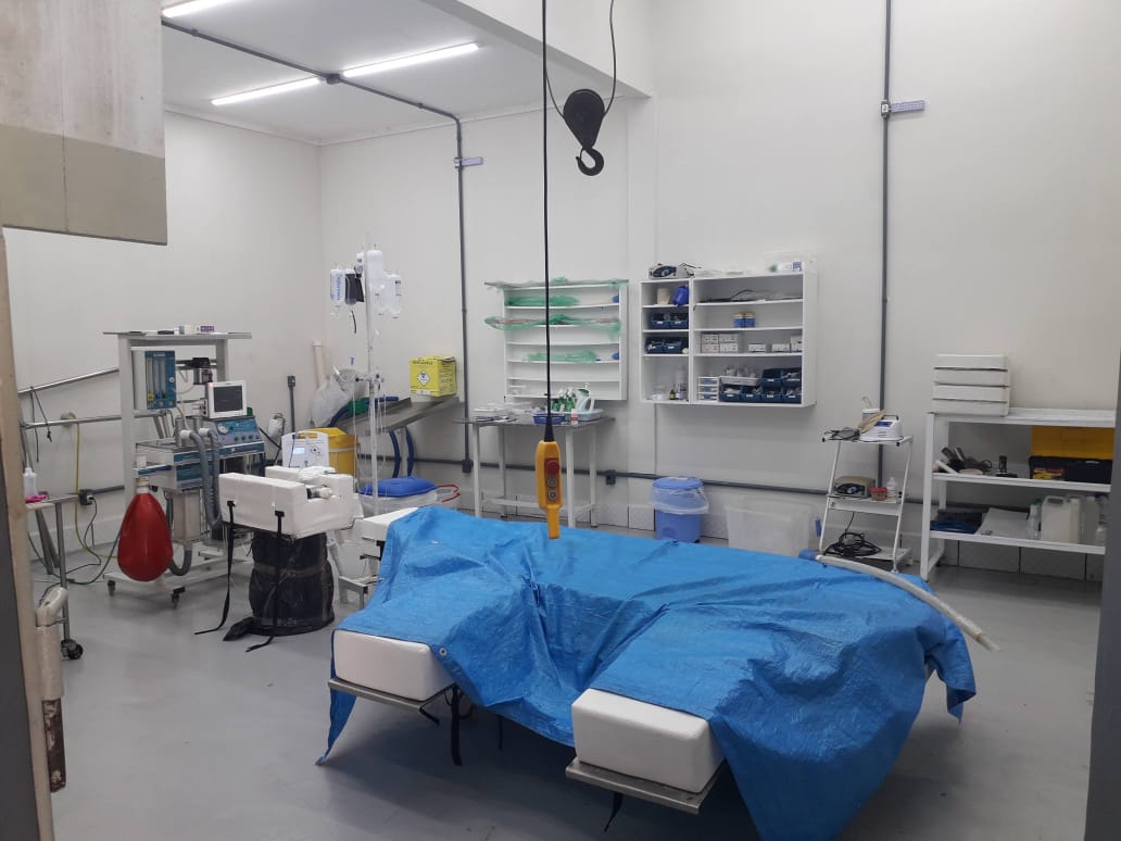 01368f12-e607-4f3d-9552-f188ee828306.jfif