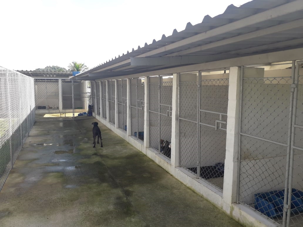 Canil experimental03.jpg