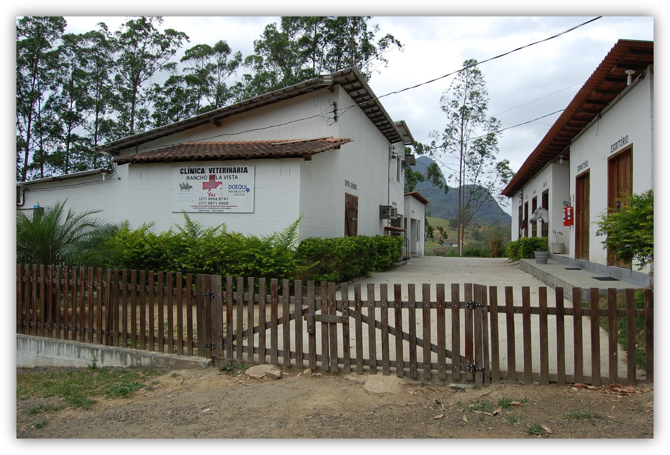 Clínica veterinária01.jpg