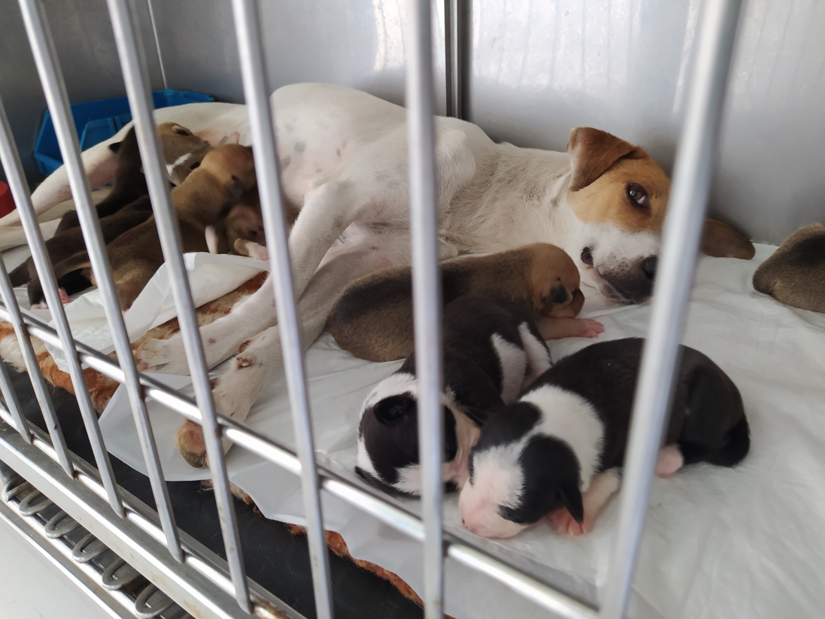 Sala de internação 07.jpg