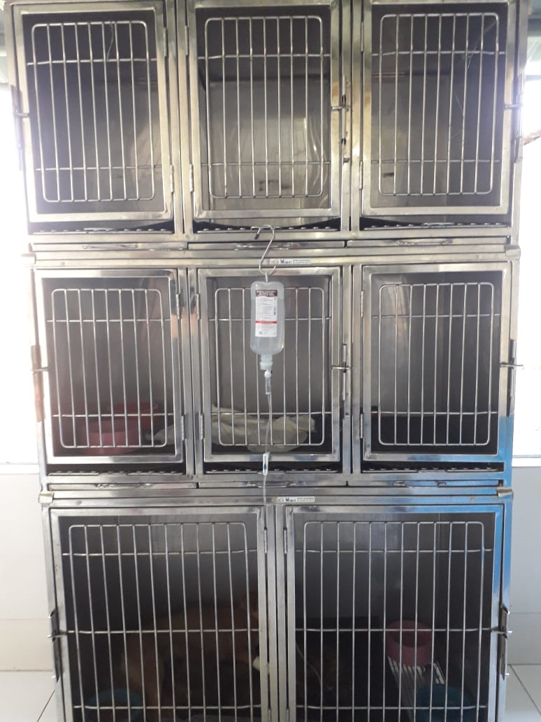 Sala de internação 04.jpg